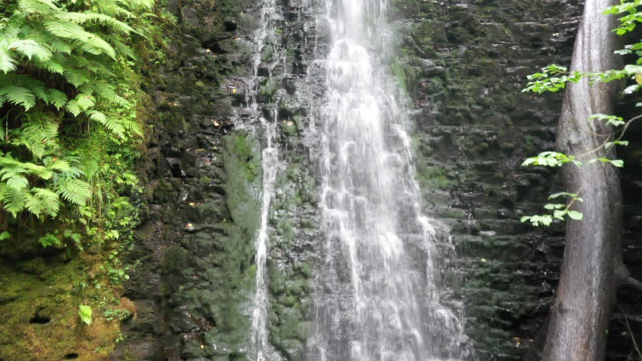 falling foss en imágenes aéreas de north yorkshire descendiendo y retrocediendo con un árbol caído