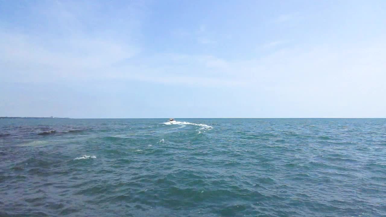 동력선이 항구를 떠나 멀리 떨어진 도시를 향해 좌회전하면서 일부 떼를 우회합니다.