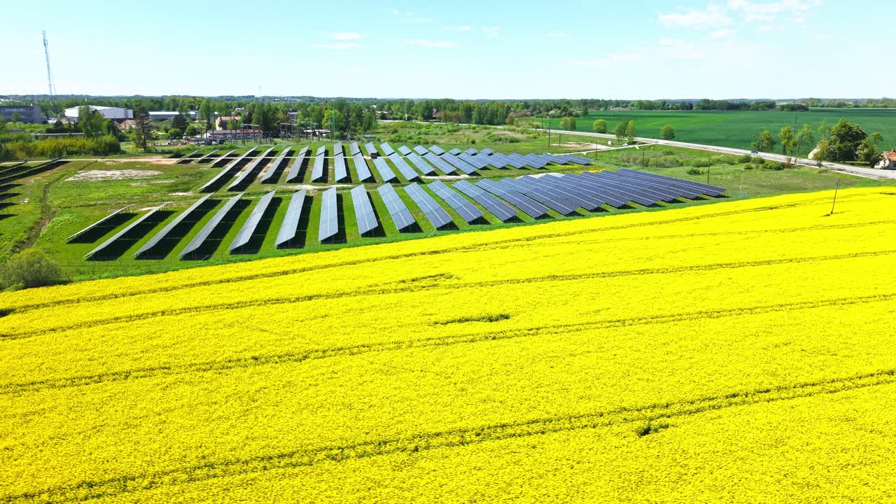Top down overview of solar grid spanning large yellow flowering field under sunny skies