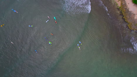 Surfistas-Aprendiendo-A-Surfear-En-La-Costa-De-Hale&#39;iwa-Oahu-Hawaii