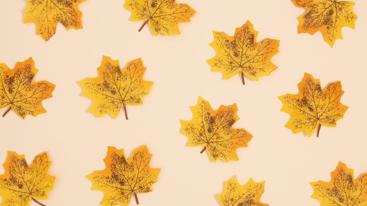 Yellow autumn leaves fall on beige background. Stop motion