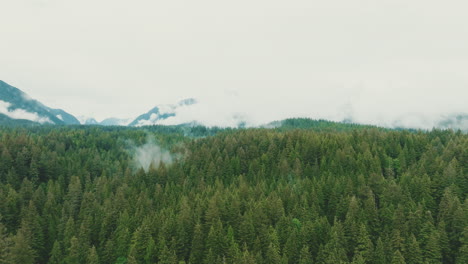 fly over dense forest towards cloud covered mountains