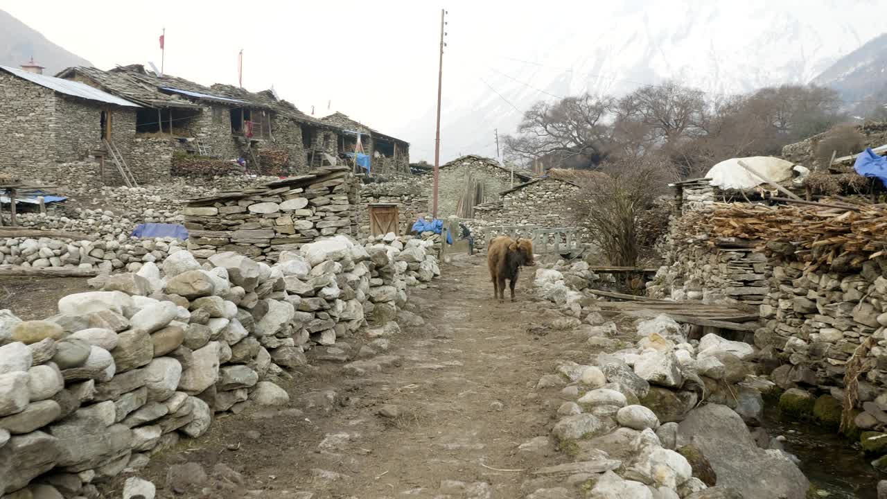 Villaggio nepalese Sama Gaon tra le montagne. Area del trekking del circuito del Manaslu