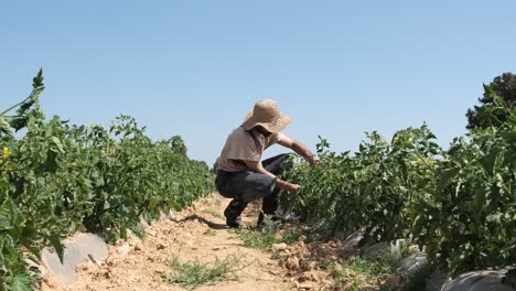 Granjero-Trabajando-En-El-Jardín