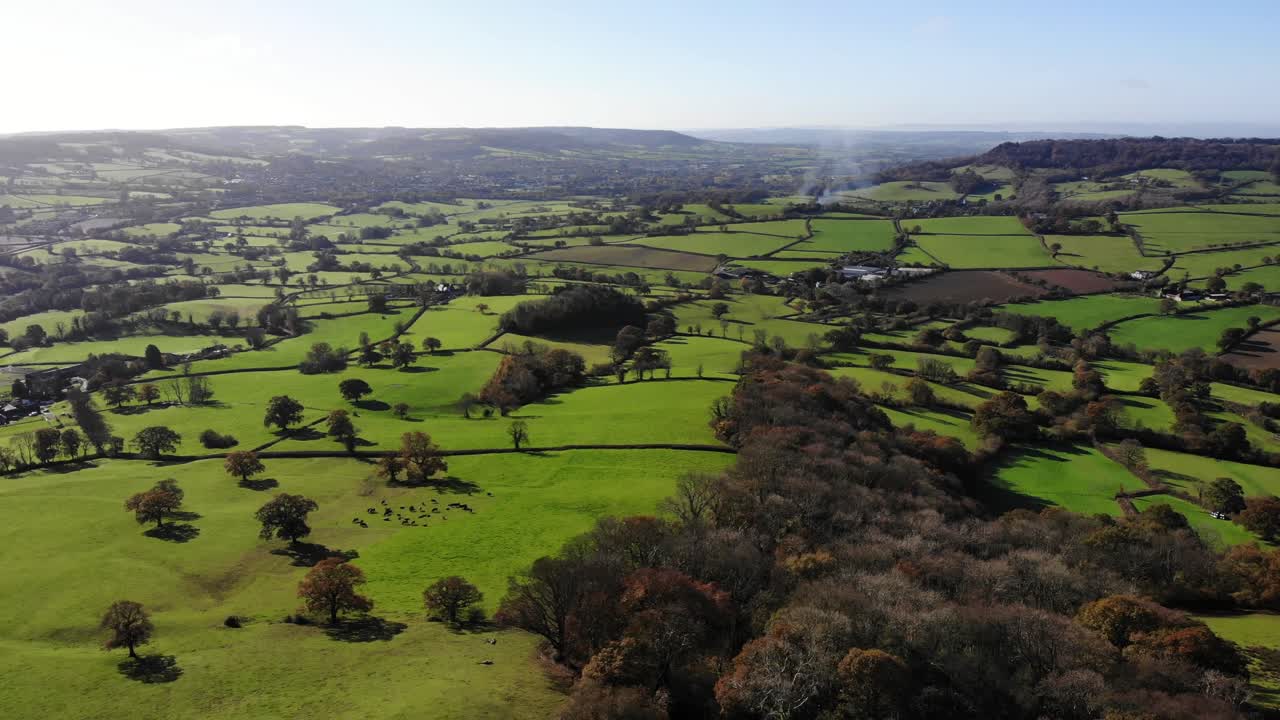Ripresa aerea all'indietro che mostra campi verdi e la campagna dell'East Devon, Inghilterra, Regno Unito.