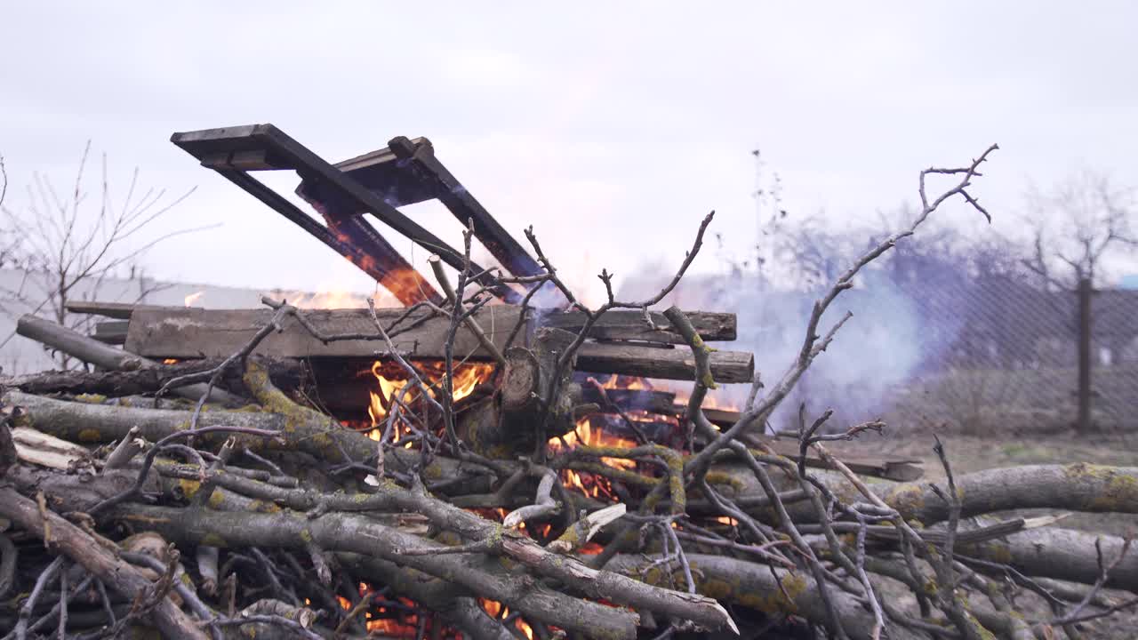 Burning cut tree branches, debris and boards in the fall in the backyard of the house