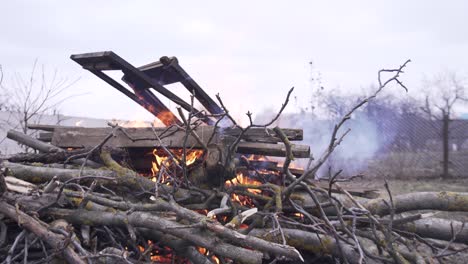 burning cut tree branches, debris and boards in the fall in the backyard of the house