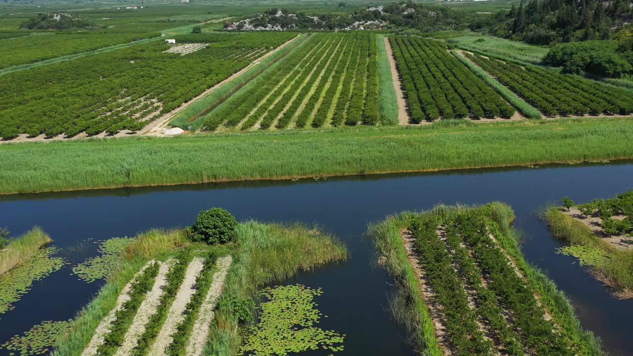 Neretva Valley, flying over Agriculture Plantation Fields in Delta of River Neretva in South Croatia - Aerial Drone View