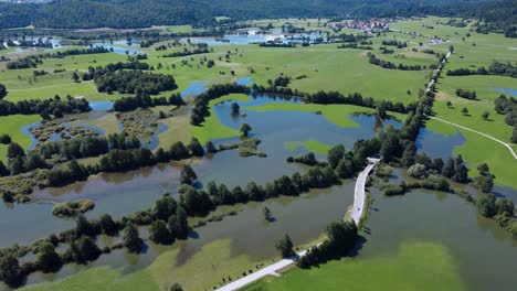 slovenian nature conservation landscape with flooded areas and lush green grass