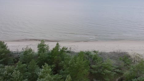 Hermosa-Vista-Aérea-De-La-Costa-Del-Mar-Báltico,-Día-De-Invierno-Nublado,-Playa-Tranquila-Con-Arena-Blanca,-Bosque-De-Pinos,-Erosión-Costera,-Cambios-Climáticos,-Amplia-Toma-De-Drones-Moviéndose-Hacia-La-Izquierda