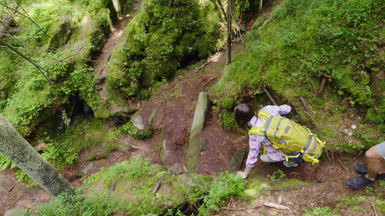 친구들은 가파른 산길을 여행하고 숲에서 모험을 합니다.