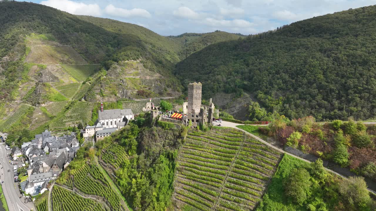 Aerial View of a Castle and Vineyard in Germany