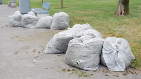 una fila de bolsas de basura llenas de residuos de patio se sienta en una acera en un parque