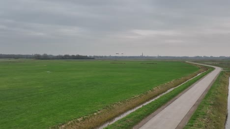 Tracking-shot-of-three-birds-flying-over-green-agricultural-land-on-a-cold,-cloudy-winter-day