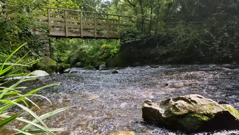 Pintoresco-Arroyo-De-Agua-Dulce-Que-Fluye-Bajo-Un-Puente-De-Madera-En-La-Reserva-Natural-Del-Bosque