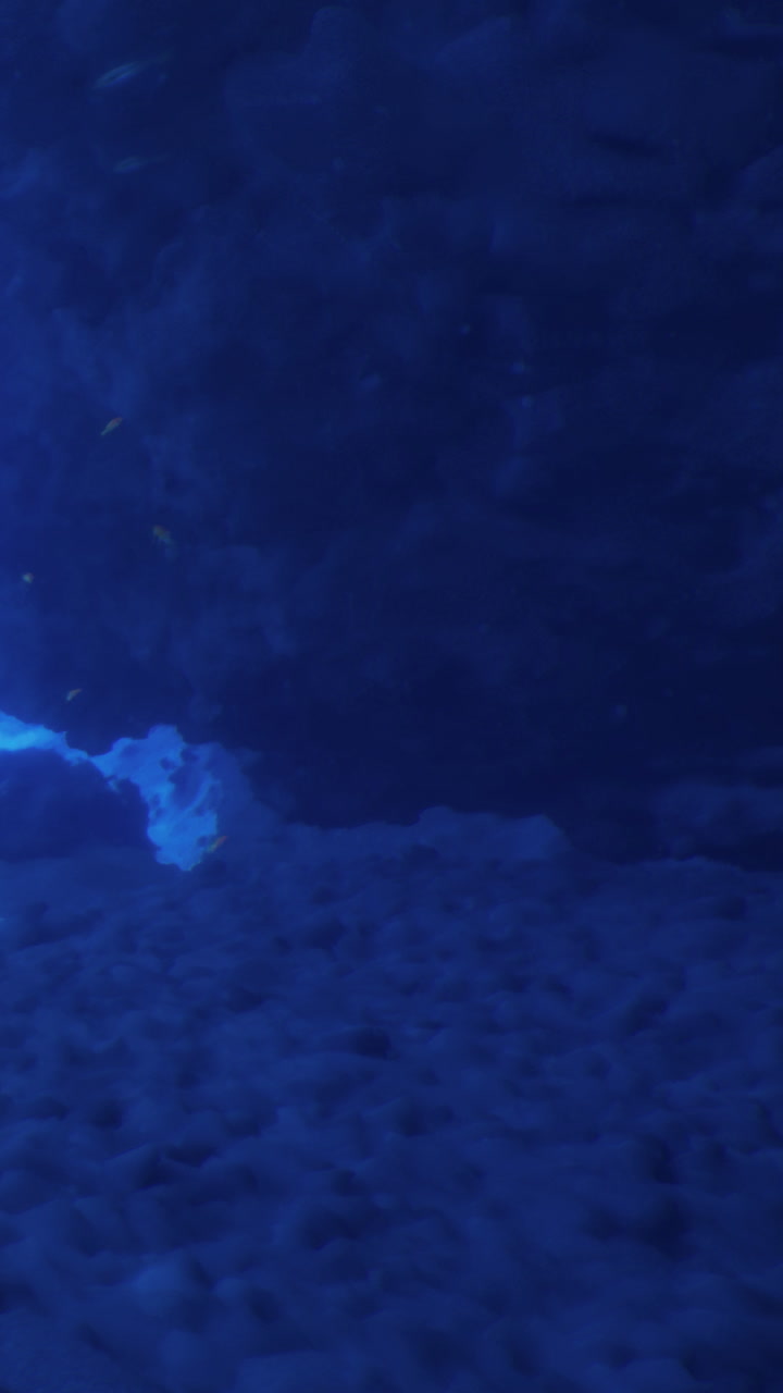 Beneath the waves a tranquil underwater world invites exploration and wonder