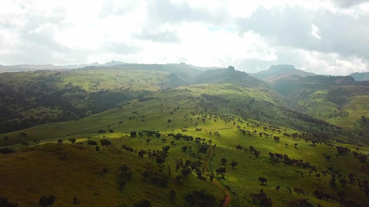 Maleriske bølgende grønne bakker med eksotisk vegetation i Mount Elgon Nationalpark i Kenya, Afrika. Bredt luftfoto.