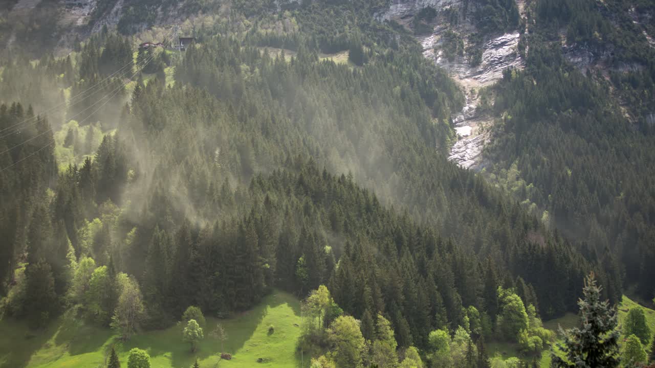 timelapse único de polen de árbol en una tormenta foehn en grindelwald en los alpes suizos