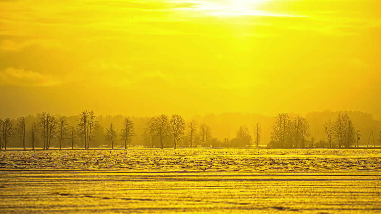 타임 스 황금빛 하늘, 겨울에 해가 뜨는 시골 풍경, 리가 라트비아 외