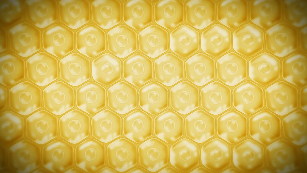 인간 피부 세포: 세포막을 가진 각 세포, 세포 치료, 질병 치료, 핵과 진공, 재생, 루프 애니메이션