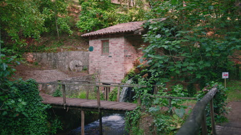 molino de agua rústico en un bosque de tiro largo