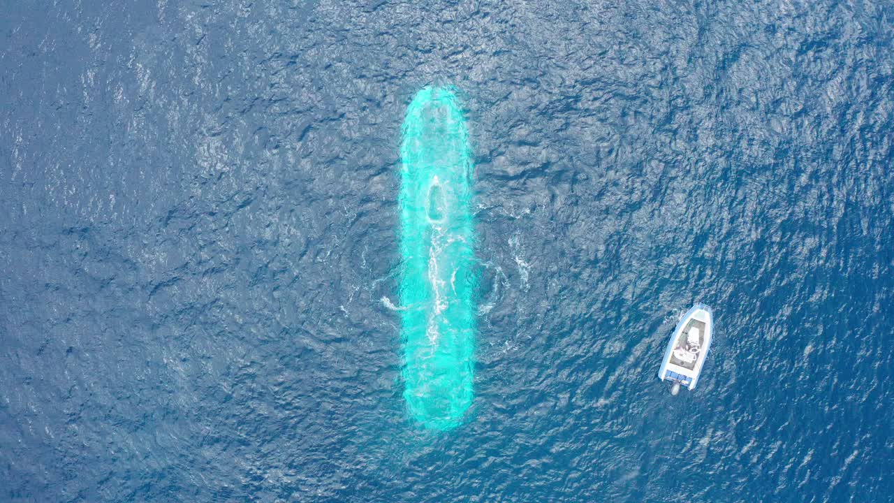 Aerial rising bird's eye shot of a submarine blowing the last of its ballast tank as it submerges underwater off the shores of Kailua-Kona in Hawai'i