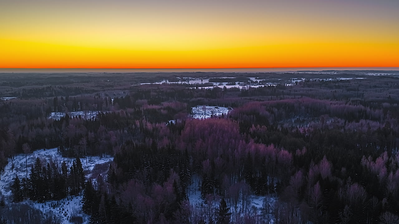 Cinematic drone shot moving right over a snowy winter forest, capturing the vibrant orange sky of a sunset horizon across a frosty pine tree woodland.