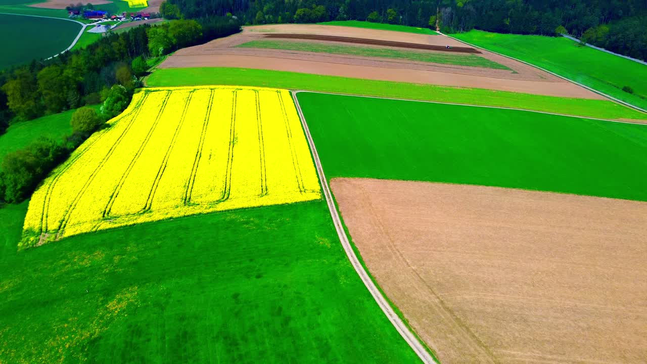 Vista aerea di un campo di fiori giallo vivace tra terreni agricoli verdi e marroni.