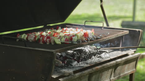 chicken and vegetable skewers or brochettes on a grill as cook arranges coal