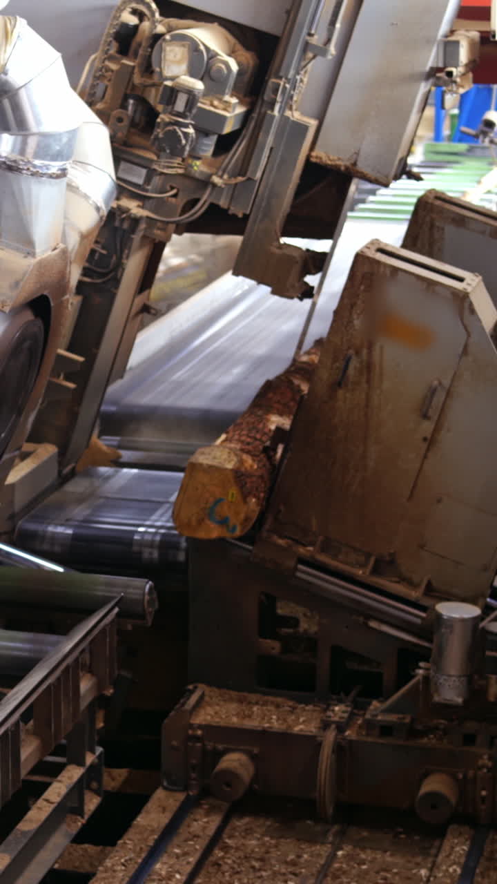 Automatic line sawing. Process of cutting logs into boards. Vertical video