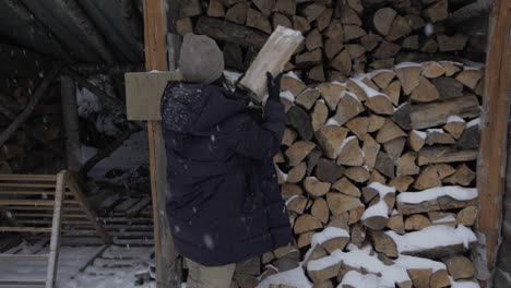 female putting firewood in shed in winter