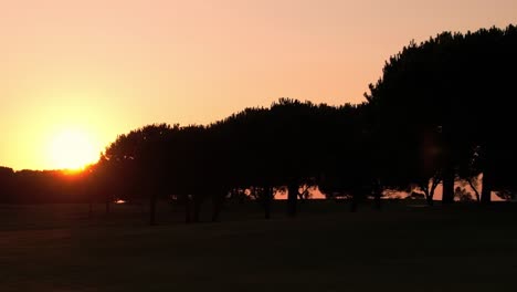 Sunset-between-pine-trees.-Aerial-travelling