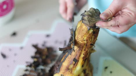 la berenjena americana asada se quita de la piel con un cuchillo