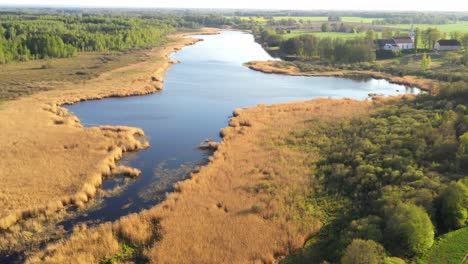 latvian lake and marsh on vibrant sunny day, aerial view