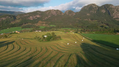 farmland with windrowed grass, hay bales, and tractor working for silage production