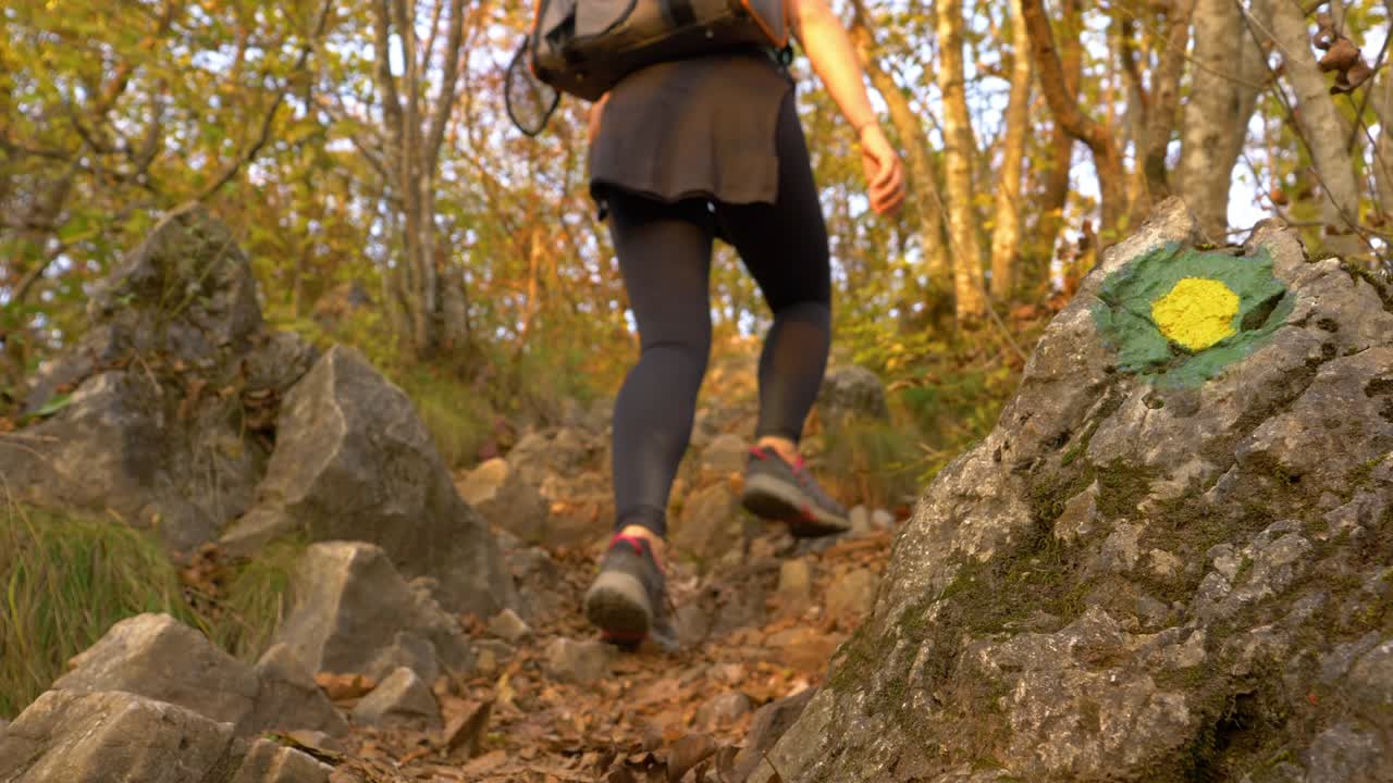 de cerca, dof: una excursionista mujer irreconocible lleva a su cachorro en una mochila.