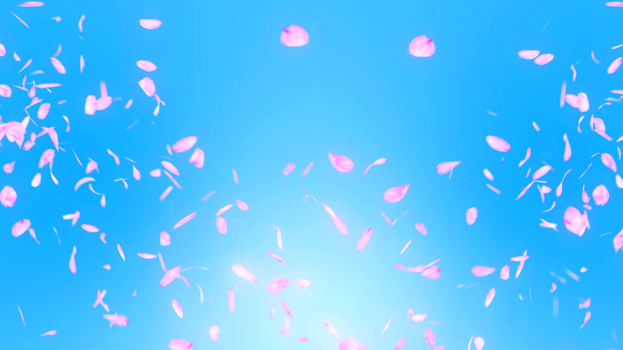 파란색 배경에 떨어지는 체리 꽃 잎, 루프 글리터 애니메이션
