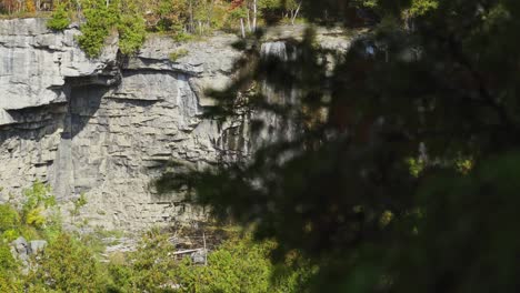 Ein-Wasserfall-Befand-Sich-Offenbar-Im-Sommer-In-Einem-Wald-In-Milton,-Ontario