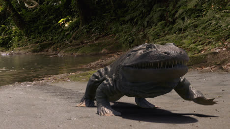 tetrapod walks out of water on sandy shore