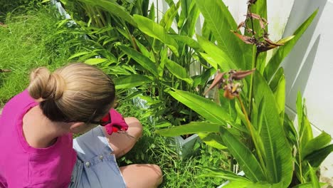 mujer jardinería en un patio trasero