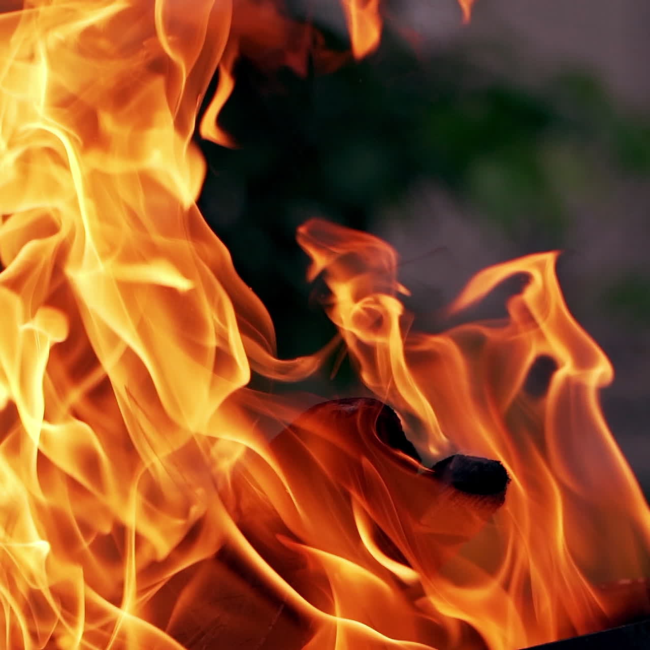 Bonfire burning at night. Burning logs in orange flames. Fire flame