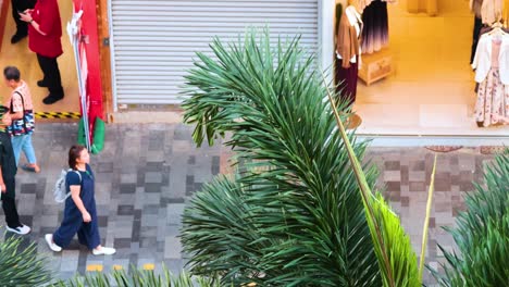 pedestrians stroll past shops and greenery