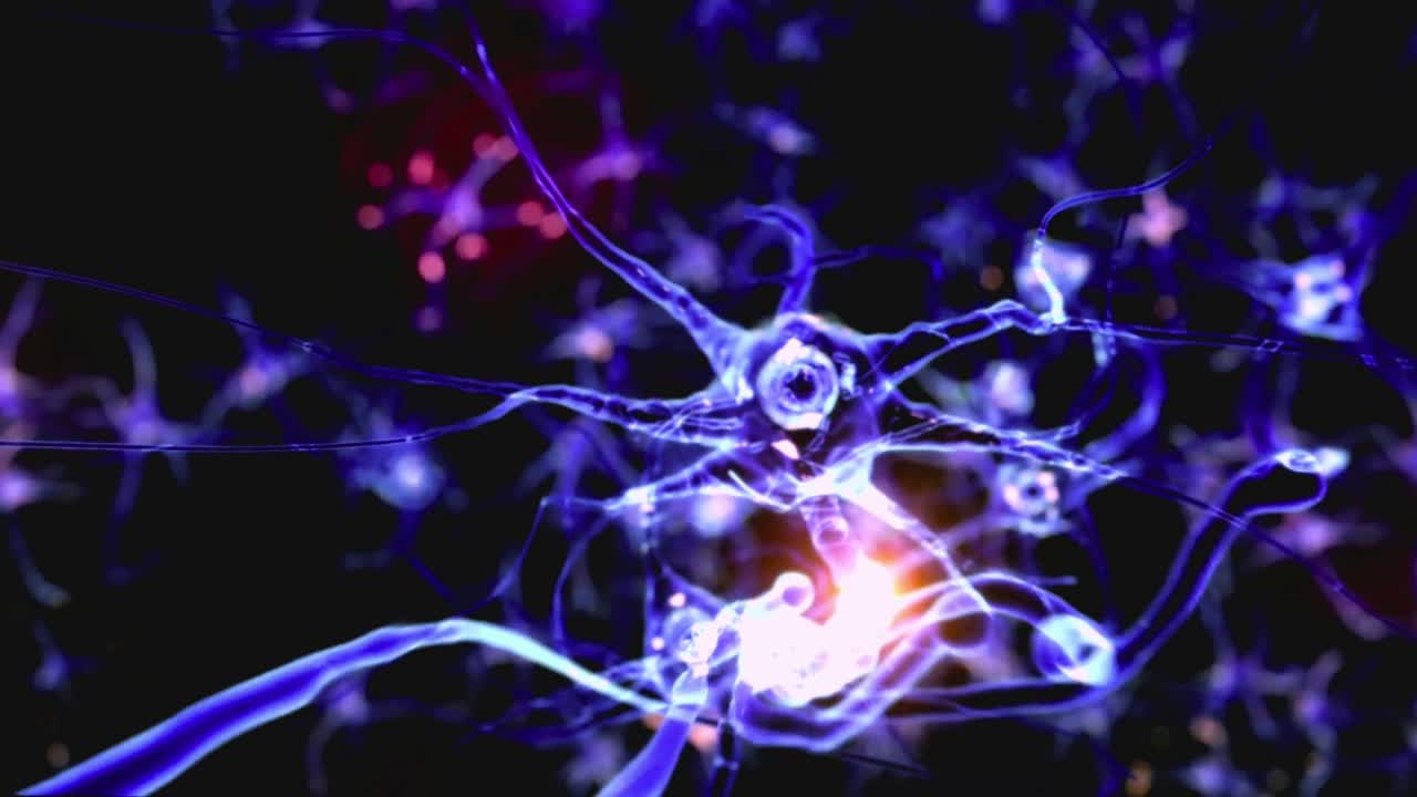 Dynamic Animation of Brain Activity and Firing Neurons
