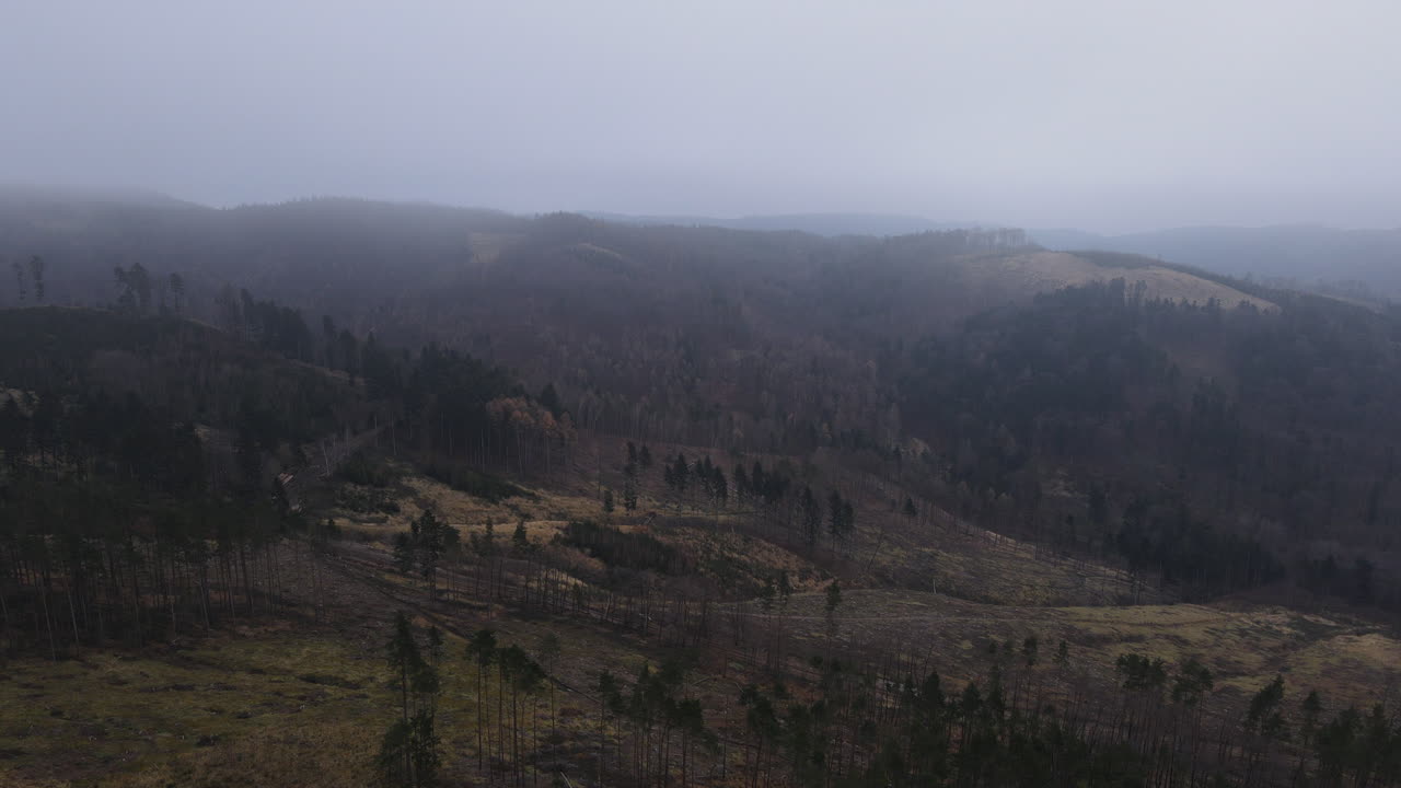volando sobre el paisaje y el bosque bajo la espesa niebla durante la noche de invierno