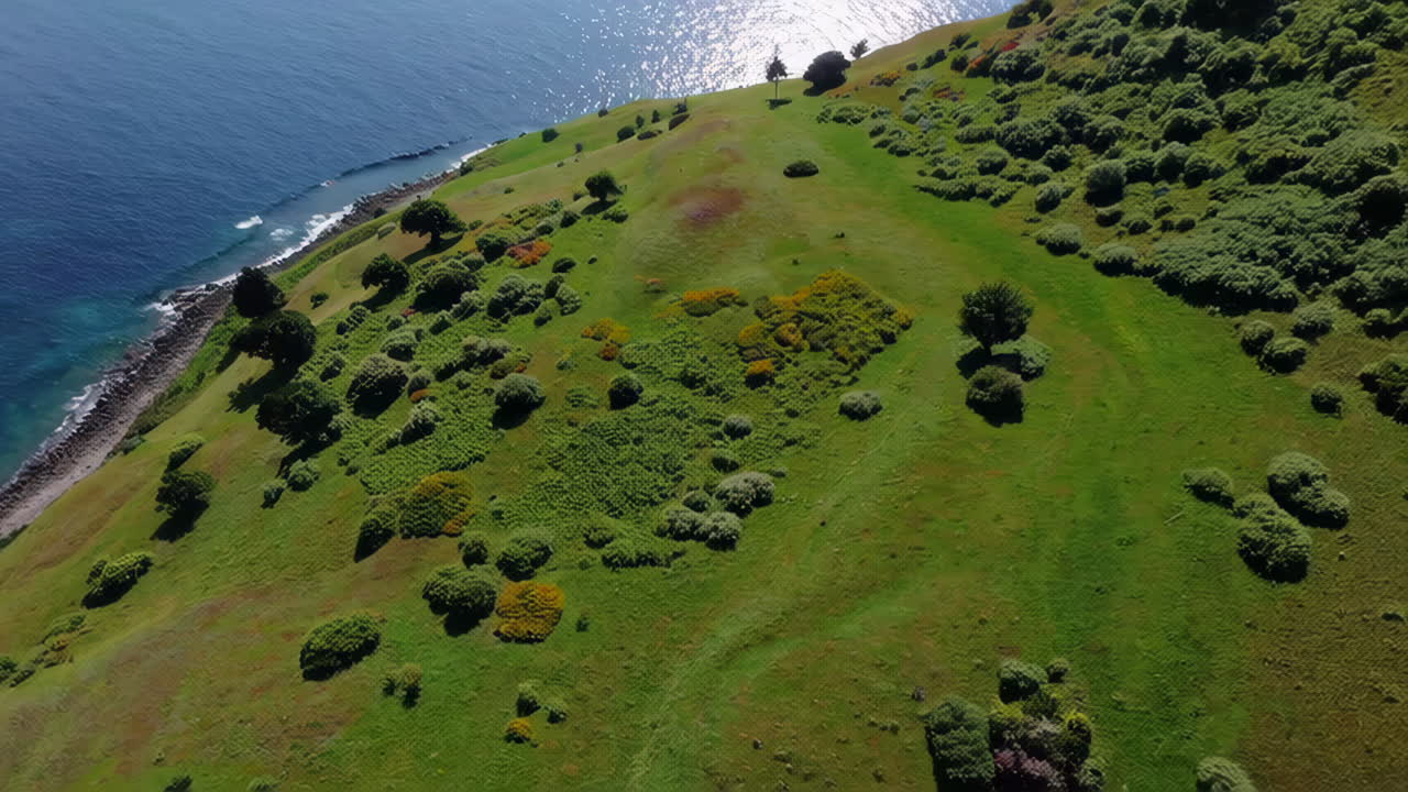 해안 언덕과 바다 풍경