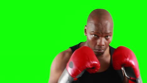 serious muscular boxer man practising