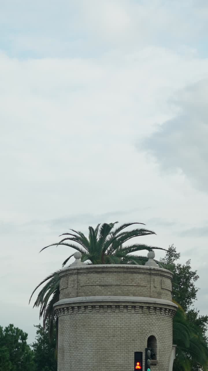 Palm tree atop a stone structure