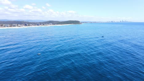 boats adrift on rippling blue ocean - sailing at palm beach in gold coast, australia - aerial