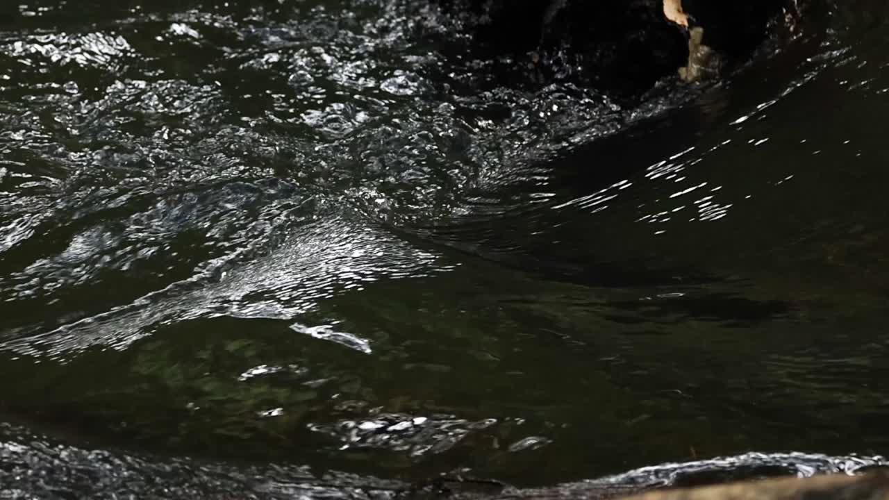 Fast-flowing river water with ripples
