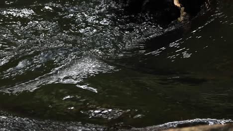 fast-flowing river water with ripples